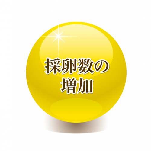 一成堂鍼灸院のこだわりポイント