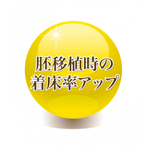 アピール写真