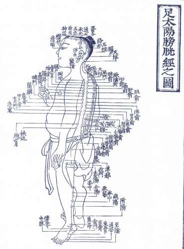 弘愛鍼灸院のこだわりポイント
