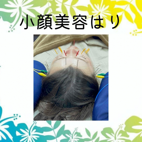 アピール写真