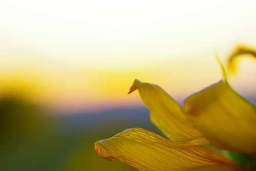 あおい鍼灸院のこだわりポイント