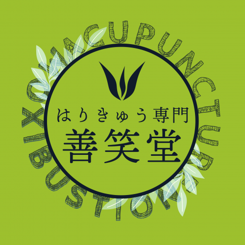 はりきゅう専門 善笑堂 郡山市大槻院のこだわりポイント