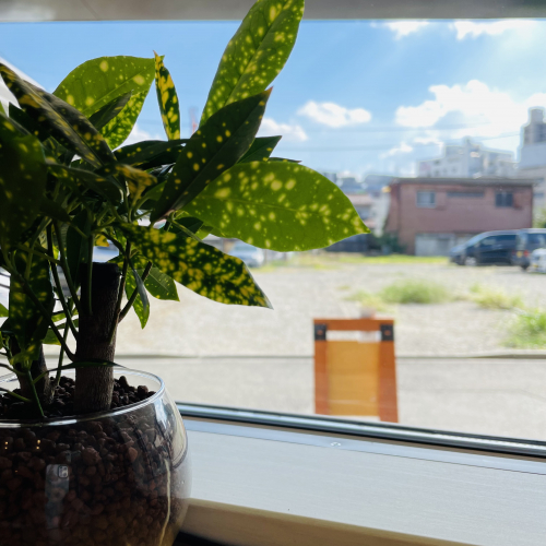 のんこり鍼灸治療院のこだわりポイント