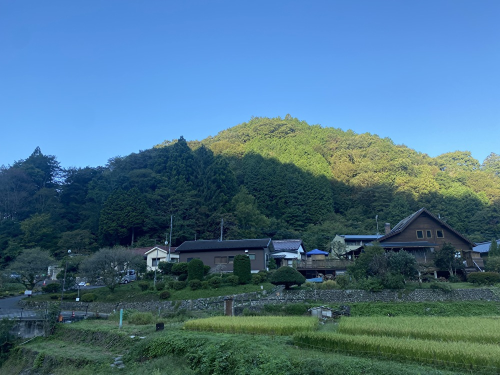 だいちの鍼灸院のこだわりポイント