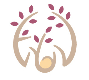 鍼灸サロン　enonのこだわりポイント