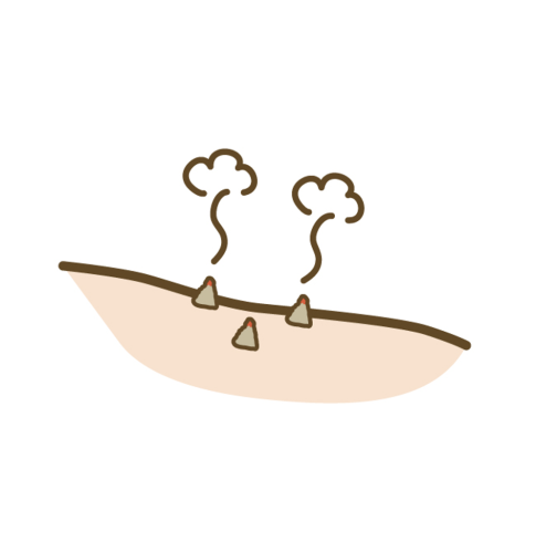 リリーフ鍼灸院のこだわりポイント