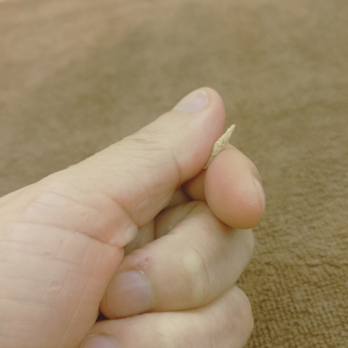 鍼灸院ふわりのこだわりポイント