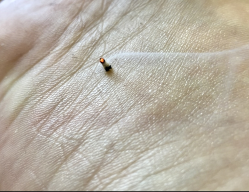 鍼灸マッサージ　清浄ら〜Kiyora〜のこだわりポイント