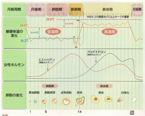 華梨堂のこだわりポイント