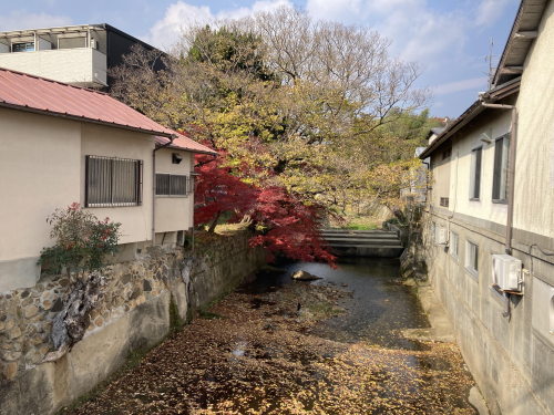 ひろせはりきゅう院のこだわりポイント