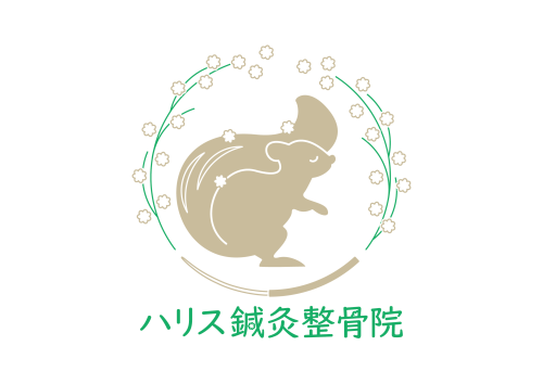 ハリス鍼灸整骨院のこだわりポイント