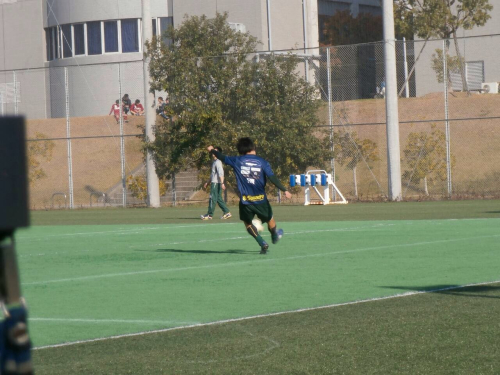 鍼灸整体ハリドコロのこだわりポイント