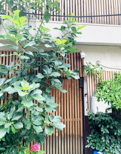 よしよし　はりきゅう院のこだわりポイント