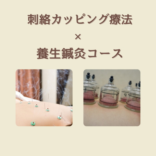 ゆり鍼灸院のこだわりポイント