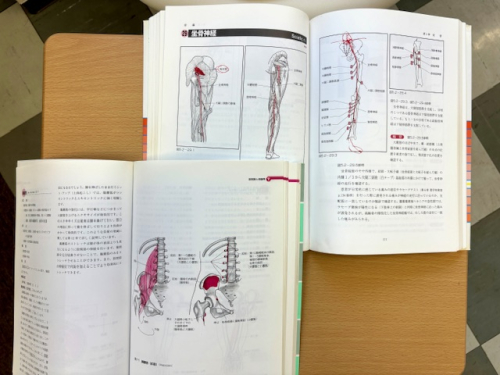 伊豆はりきゅう整体院のこだわりポイント