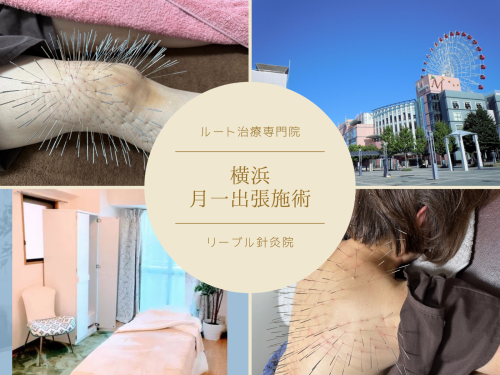リーブル針灸院 南町田ルート治療のこだわりポイント