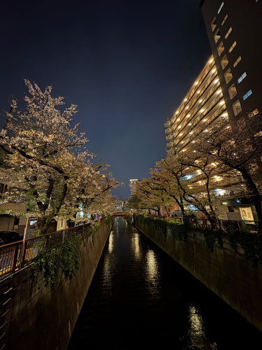 北京堂中目黒(くぎぬき鍼灸院)のこだわりポイント