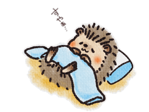 足立鍼灸治療院のこだわりポイント