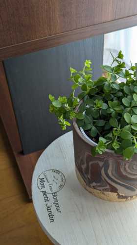 はり灸　Mysigのこだわりポイント