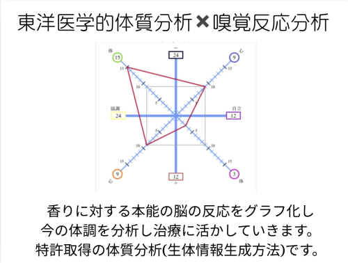 はりきゅう治療院トゥルーカラーズのこだわりポイント