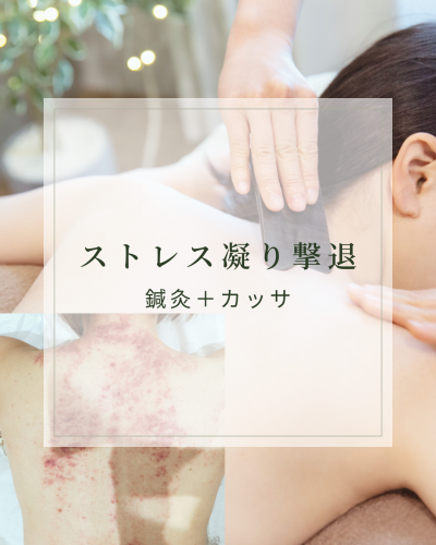 はり灸サロン　めぐりプラスのこだわりポイント
