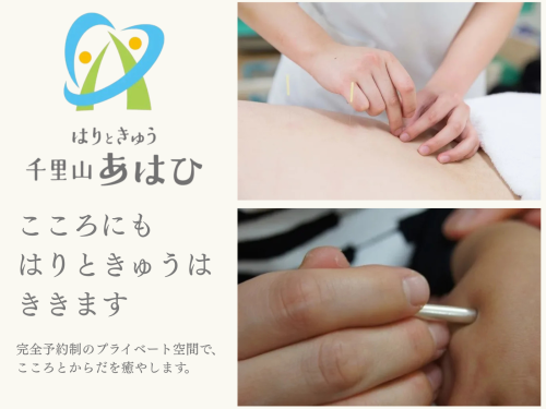 はりときゅう　千里山あはひのこだわりポイント