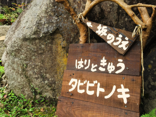 はりときゅうタビビトノキのこだわりポイント