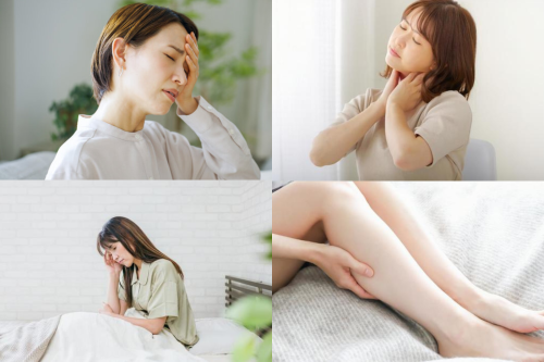 Terra Soluna 【テラソルーナ】のこだわりポイント