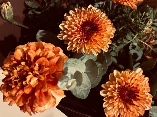 取〼鍼灸按摩施術処のこだわりポイント