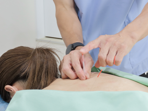 はり灸マッサージ治療院Dogwoodのこだわりポイント