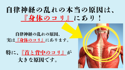 はり灸マッサージSOLE LUNAのこだわりポイント