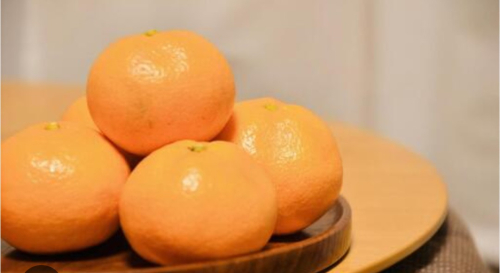 わだわだ治療院 はりきゅう整体のこだわりポイント