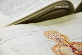 プライベート鍼灸院　SHINーRYUのこだわりポイント