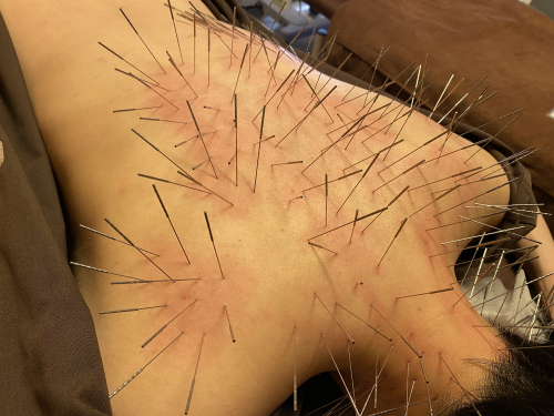 みゅう東京のこだわりポイント