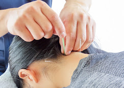 Drハリーのこだわりポイント