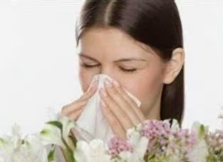 はり灸恩宝堂のこだわりポイント