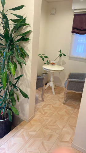 鍼灸サロンHARICOのこだわりポイント