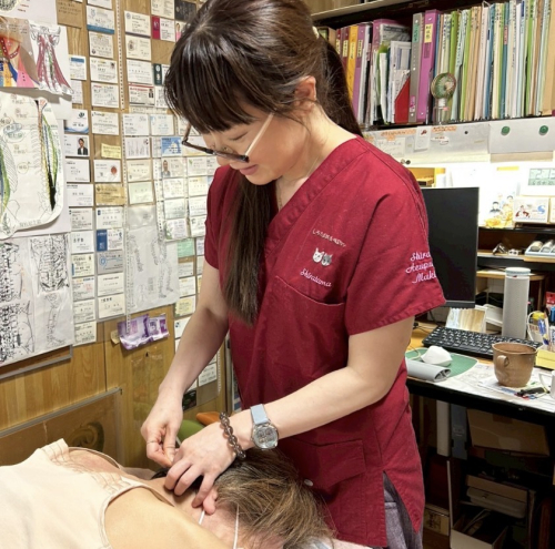 治療院 しらたま鍼灸吸玉サロンのこだわりポイント
