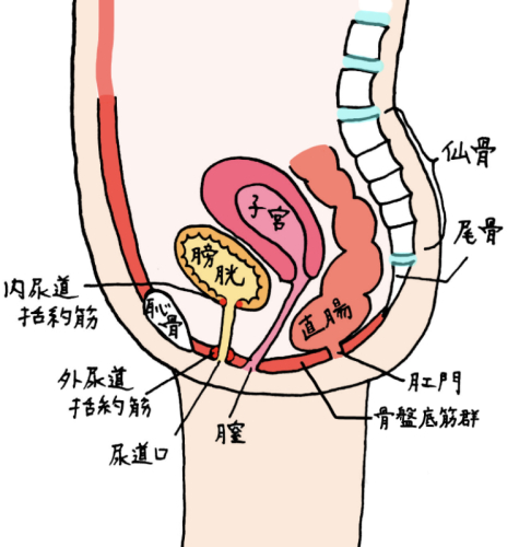 ひなた鍼灸院のこだわりポイント