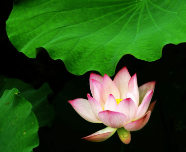 はり灸院 マナのこだわりポイント