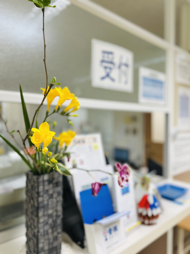 しおさき鍼灸施術所のこだわりポイント