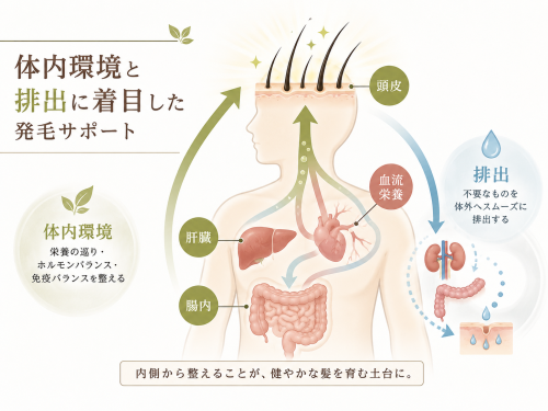 美容発毛ラボ芦屋(EN整体院併設)育毛鍼・美容鍼のこだわりポイント