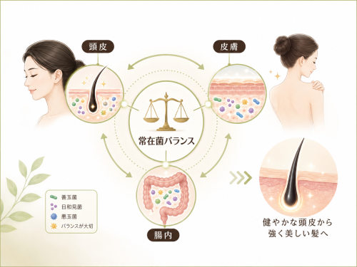 美容発毛ラボ芦屋(EN整体院併設)育毛鍼・美容鍼のこだわりポイント