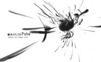 鍼灸salonPshe