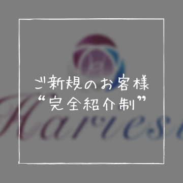 Totalbeautysalon Hariest 自由が丘 三軒茶屋 二子玉川の鍼灸院