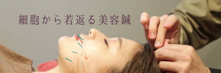 Beauty Healthやなだ鍼灸院 大塚 巣鴨 駒込の鍼灸院 Beauty Healthやなだ鍼灸院 大塚 巣鴨 駒込の鍼灸院