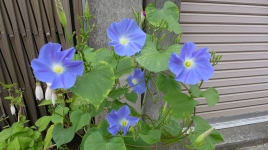 すずめの森はり灸治療院 鍼灸治療（高校生以上）のメニュー画像