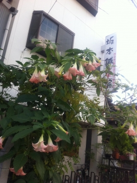 坂本鍼灸院　 院長の鍼灸治療のメニュー画像