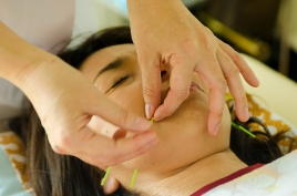 レディ－スはり灸　陽和の樹 美容鍼のメニュー画像