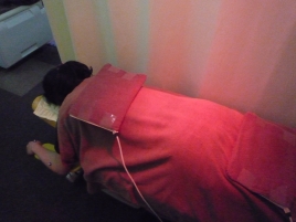 篠崎つばさ整骨院・鍼灸院  ホットパック温熱治療のメニュー画像